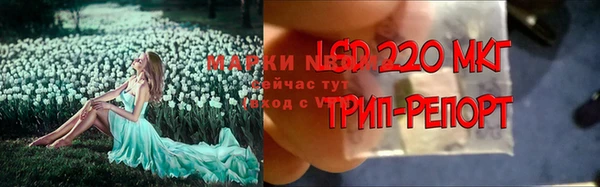 тгк Навашино