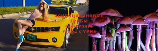 MESCALINE Гусиноозёрск