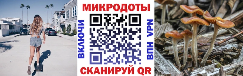 kraken Обоянь Псилоцибиновые грибы ЛСД